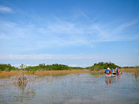 Everglades National Park, FL
