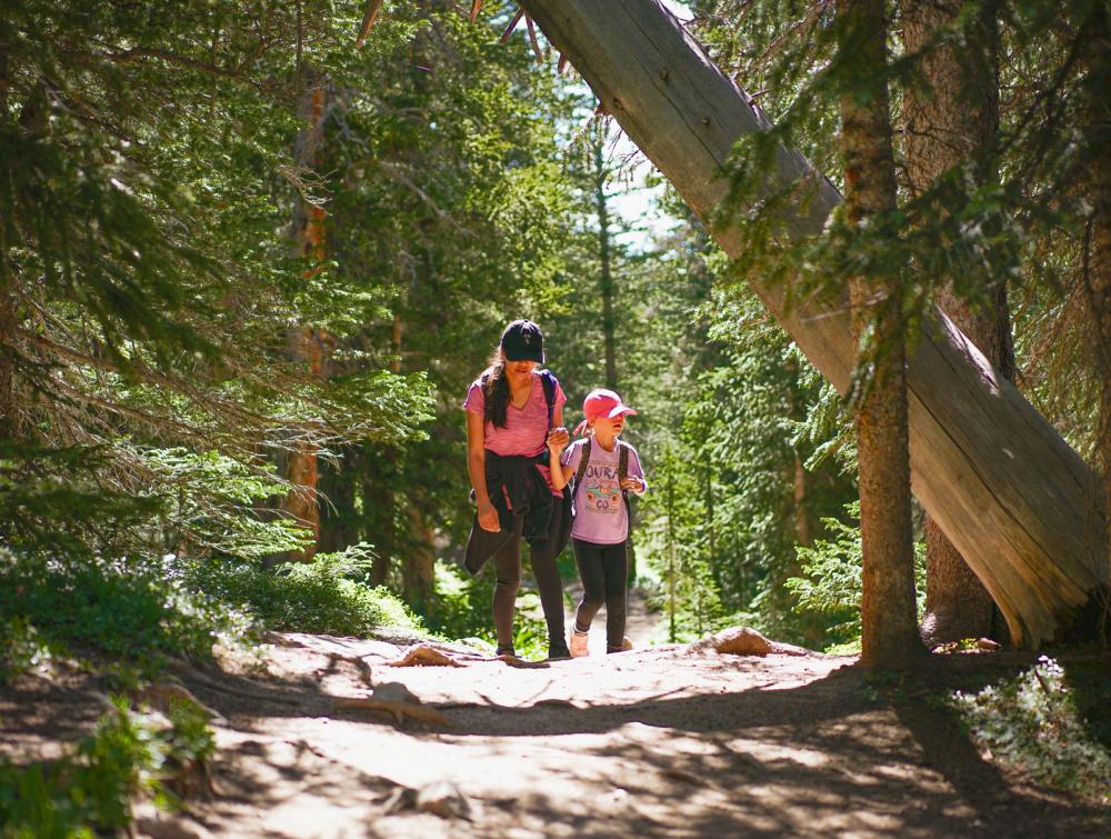 Woman walking with child toward foreground along sunlit forest oath with tall trees surrounding them