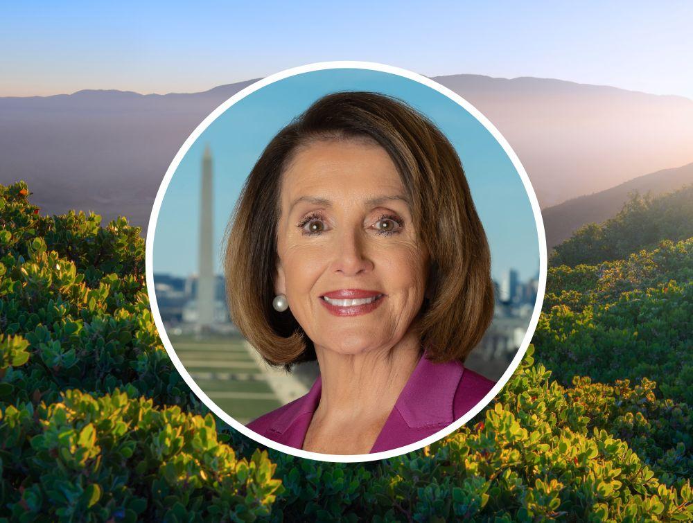 Congresswoman Nancy Pelosi in a circle frame on top of a beautiful landscape.