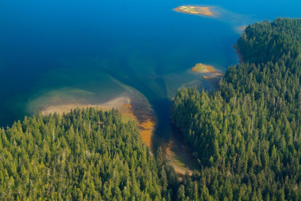 Aerial view of brilliant blue body of water at super left abutting heavily wooded section of green trees at lower right in Tongass National Forest, Alaska