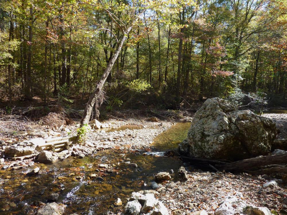 Shallow, rocky creek in the foreground and early-autumn trees in the background in Albert Pike Recreation Area within Ouachita National Forest, Arkansas