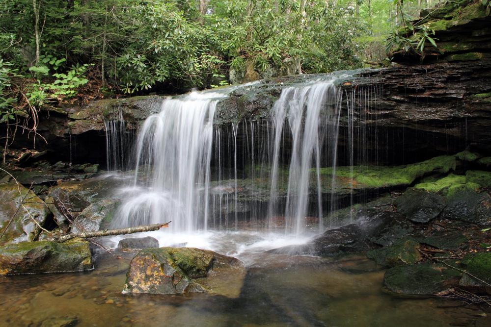 Waterfall in Cranberry Wilderness, West Virginia
