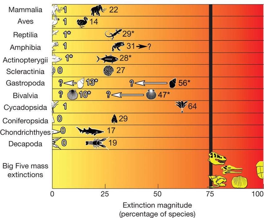 Chart showing extinction magnitude of different taxa (mammalia, reptilia, etc) and progression toward 75% magnitude that signifies a mass extinction event