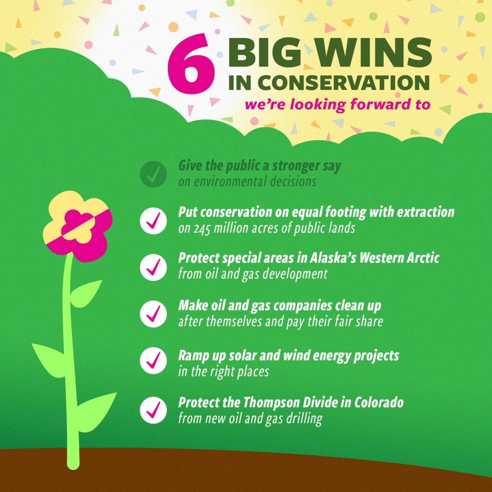 graphic with conservation wins