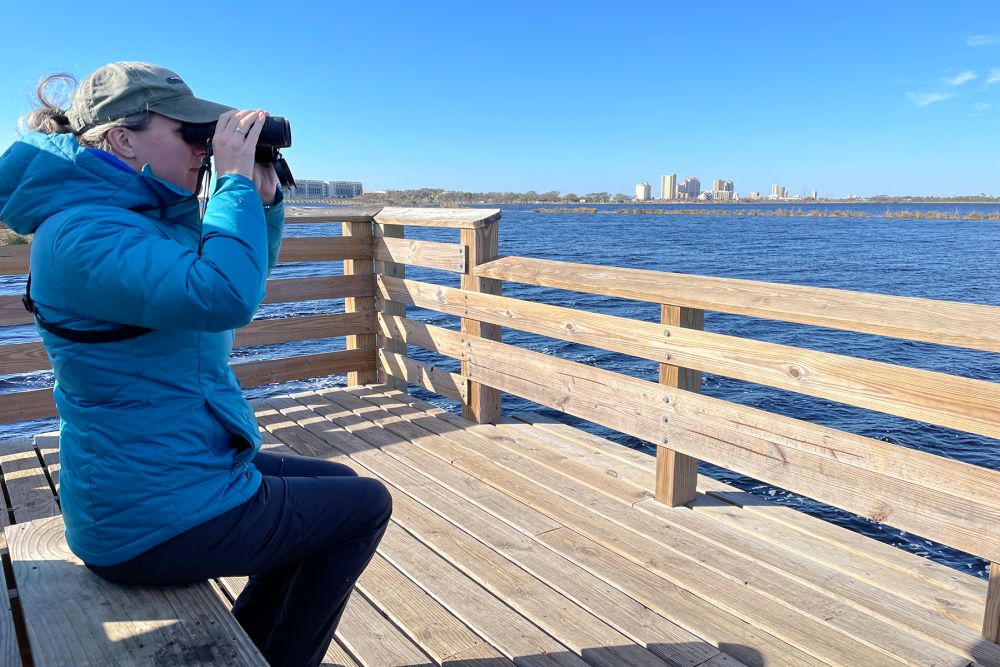 person using binoculars sitting on bench in front of water