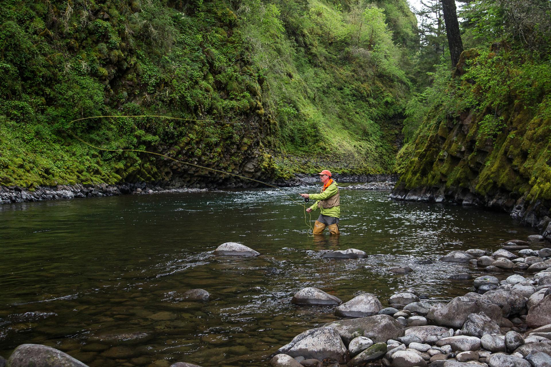 Man fishing surrounded by greenery in Molalla River Wild and Scenic River, Oregon