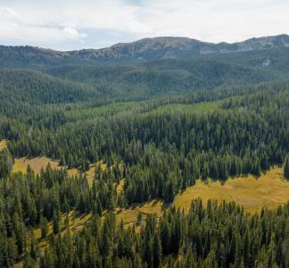 Aerial view of valley filled with evergreen trees, with forest-draped mountains visible in the background