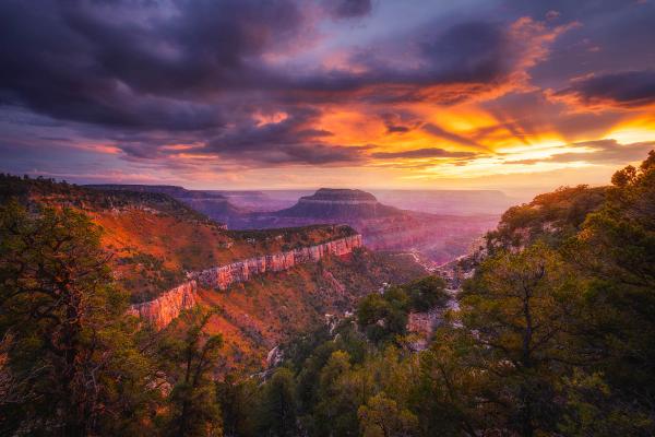 Grand Canyon from Kaibab National Forest, Arizona