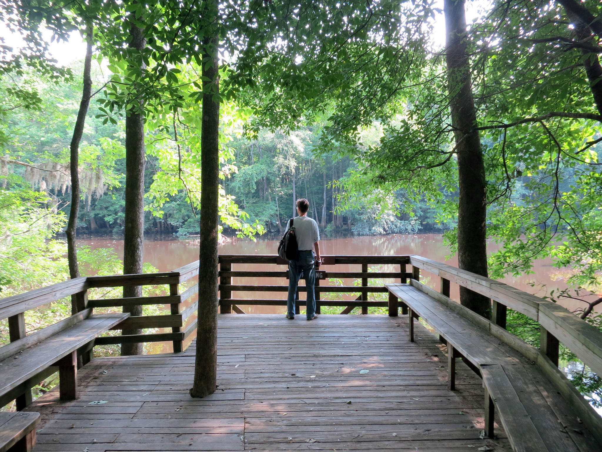 Person walking through a forest area