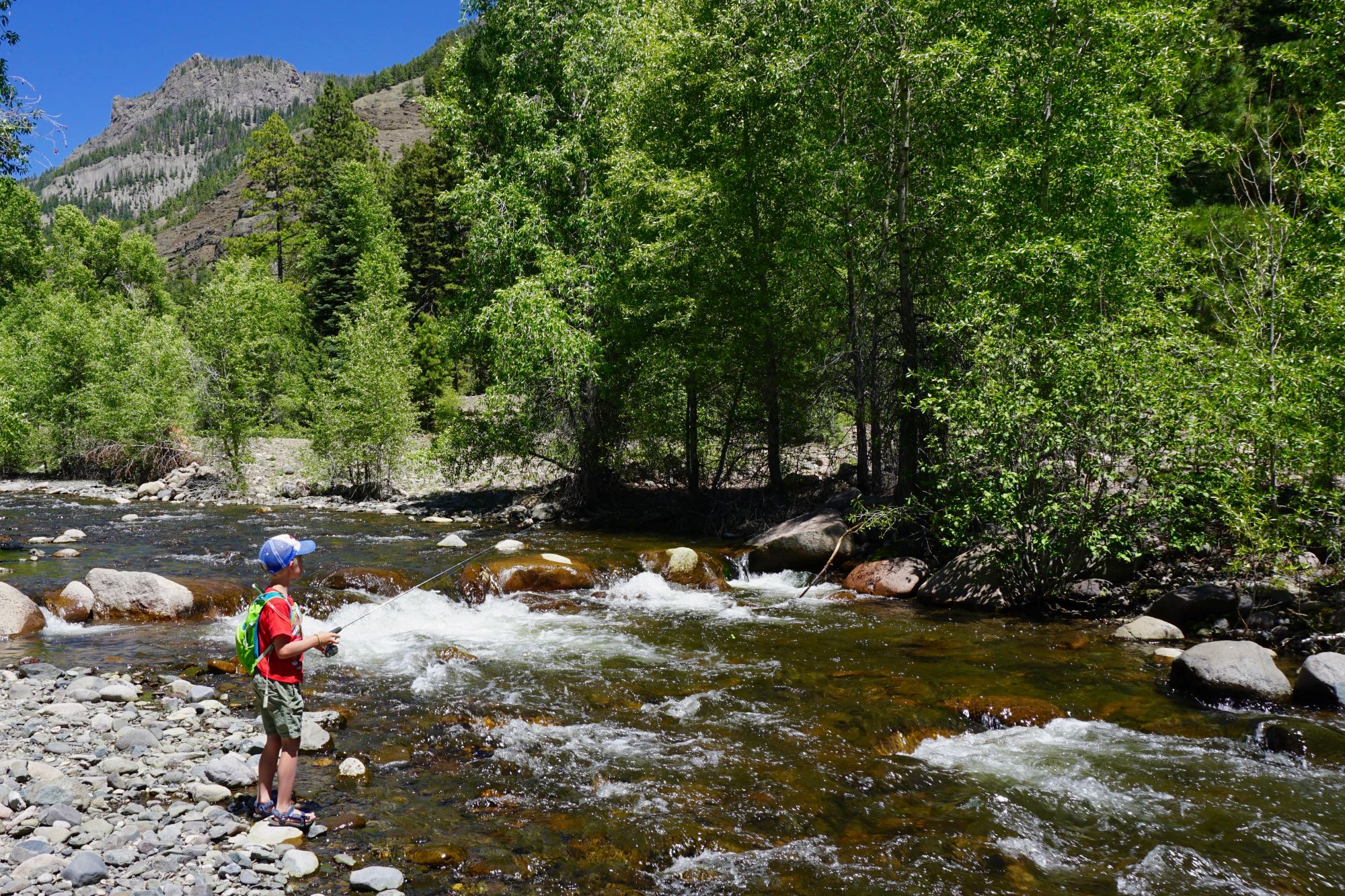 kid casting a line over river surrounded by forest