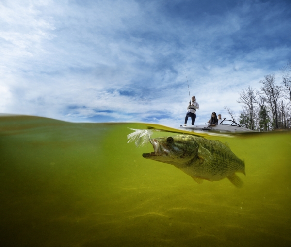 person on vote fishing, image of underwater fish