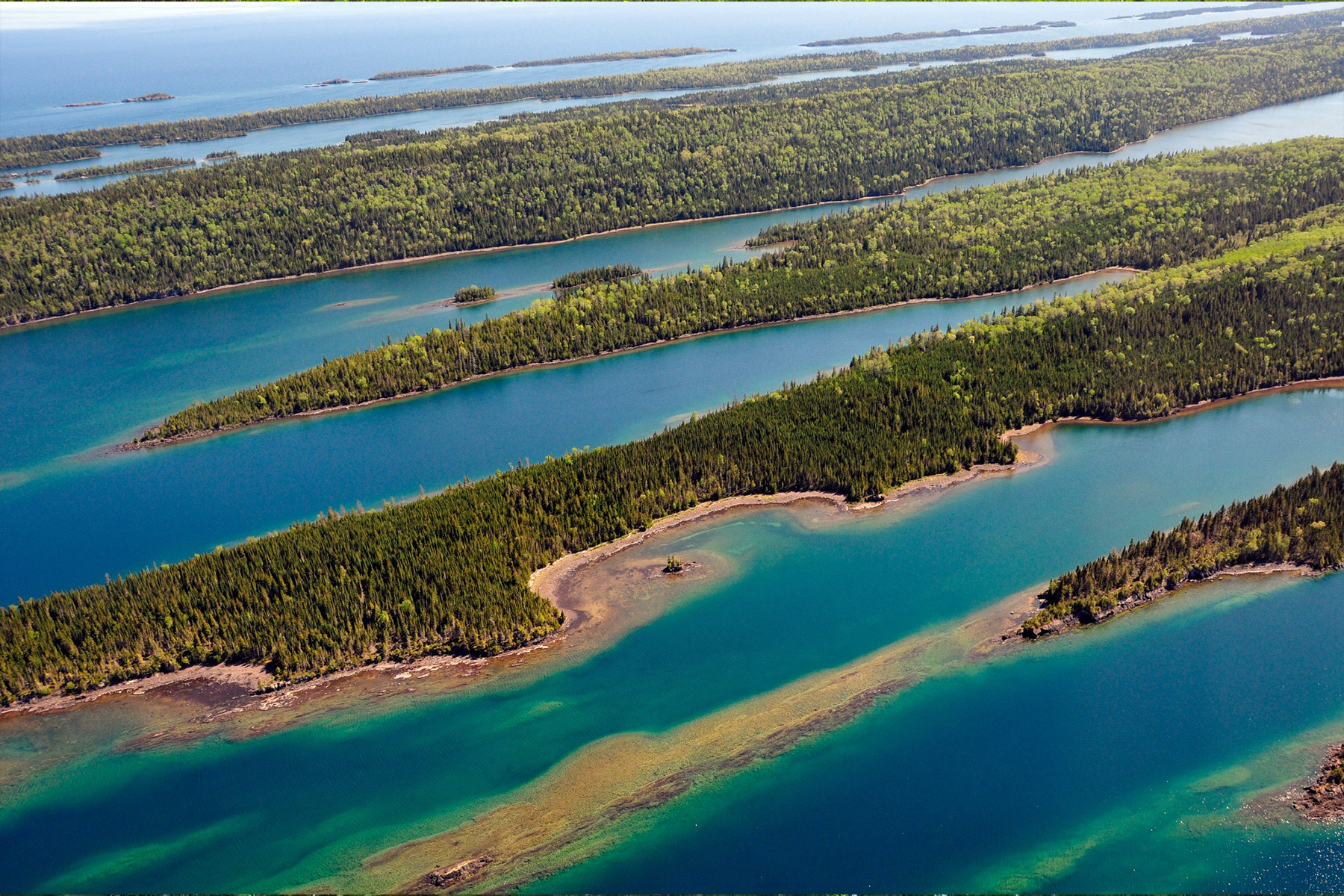 Aerial view of archipelagos with tall trees