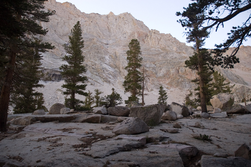 Inyo National Forest, CA