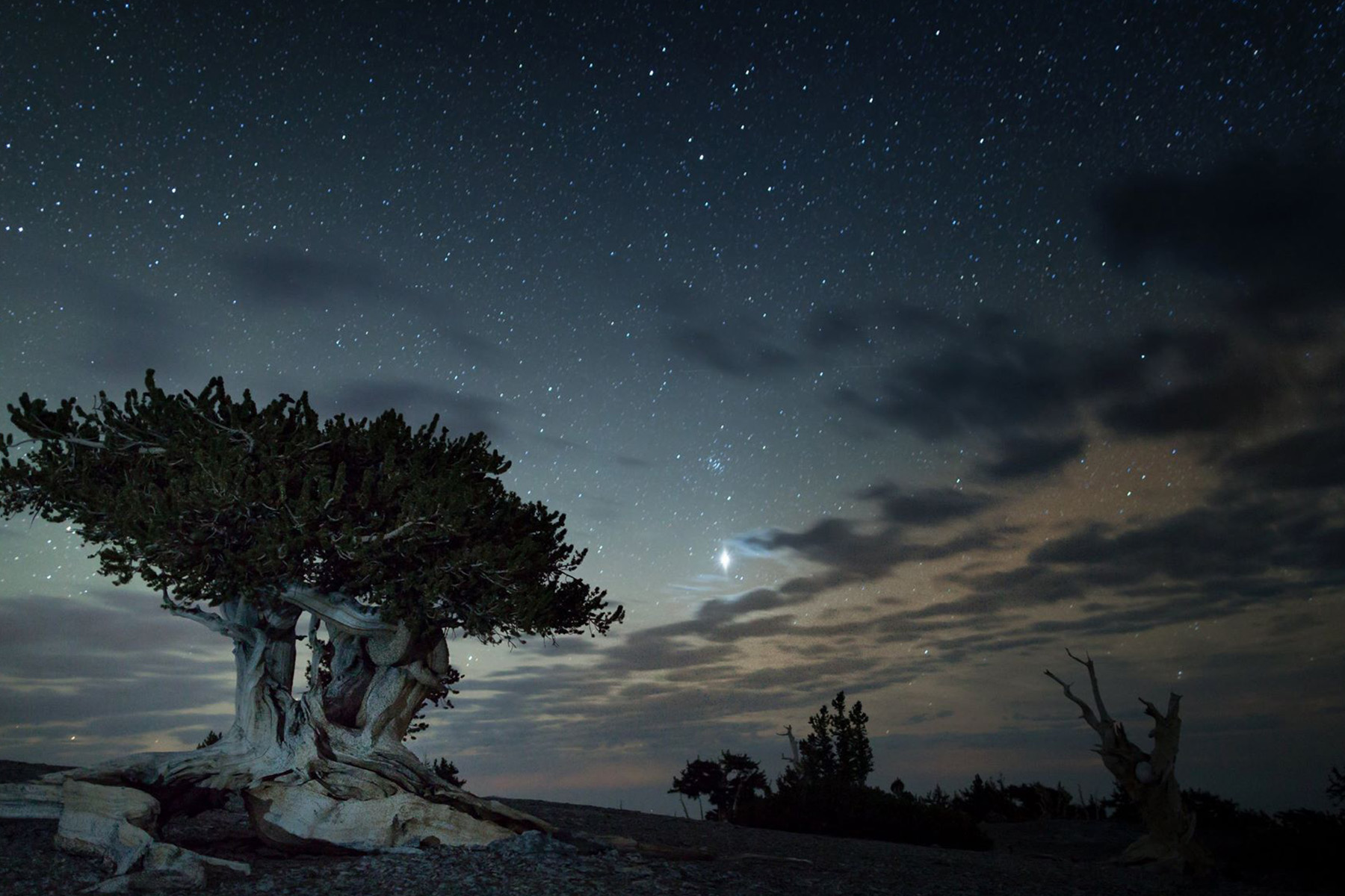 Starry sky over the desert