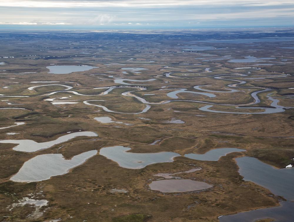 The National Petroleum Reserve-Alaska is America's largest tract of public land.