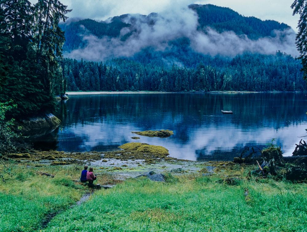 5 Reasons Tongass National Forest Is Worth Fighting For | The ...