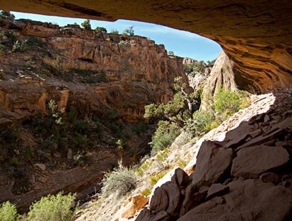 Bangs Canyon, Colorado