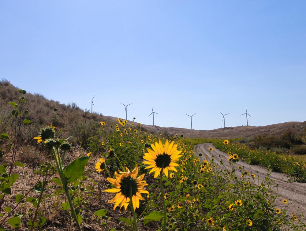 FAQ: What are the environmental impacts of renewable energy?