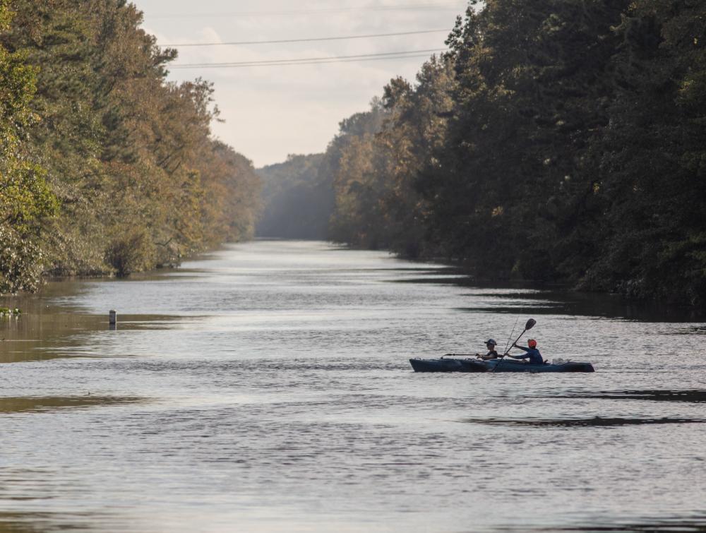 Great Dismal Swamp NWR