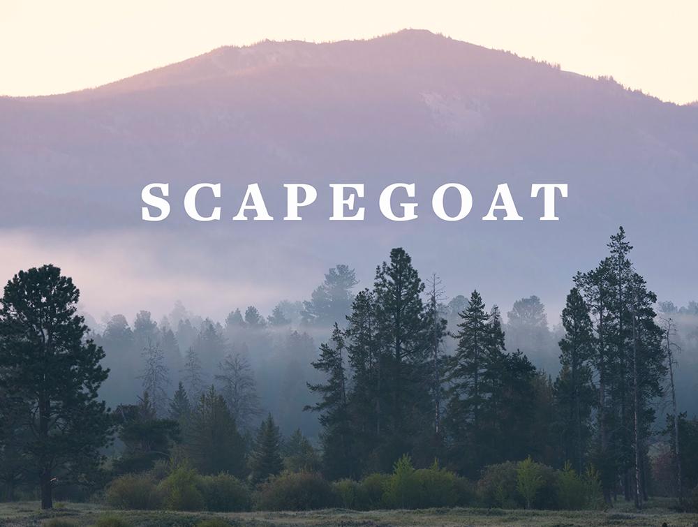 In the background, a mountain backlit by sunrise. In the foreground a lush forest. The word "SCAPEGOAT" is on top of the image.