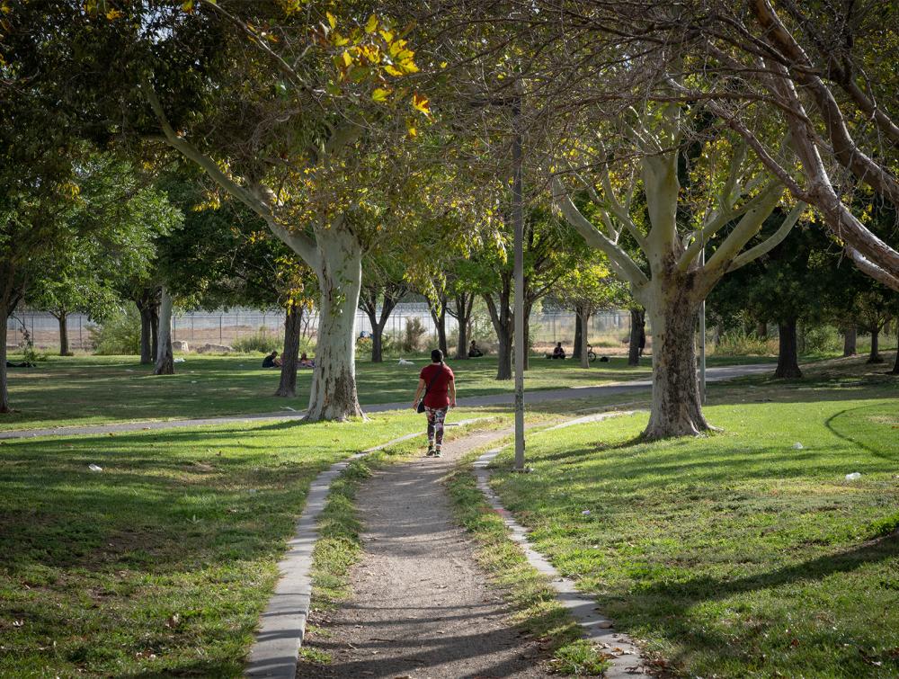 woman walking on trail surrounded by trees