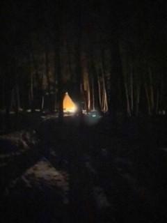 A tent glows brightly in the night surrounded by trees.