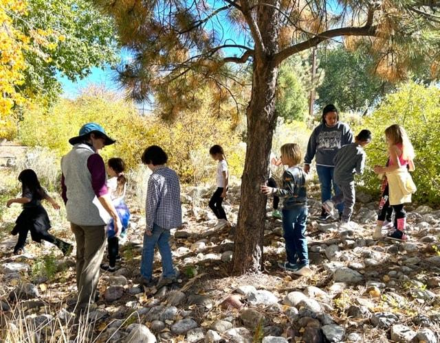 kids under a shade of a tree during a hike 