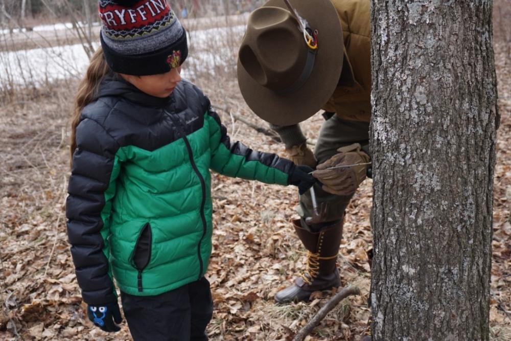 A father teaches his child how to use a stick to clear the drilled hole of debris for a Maple tap.