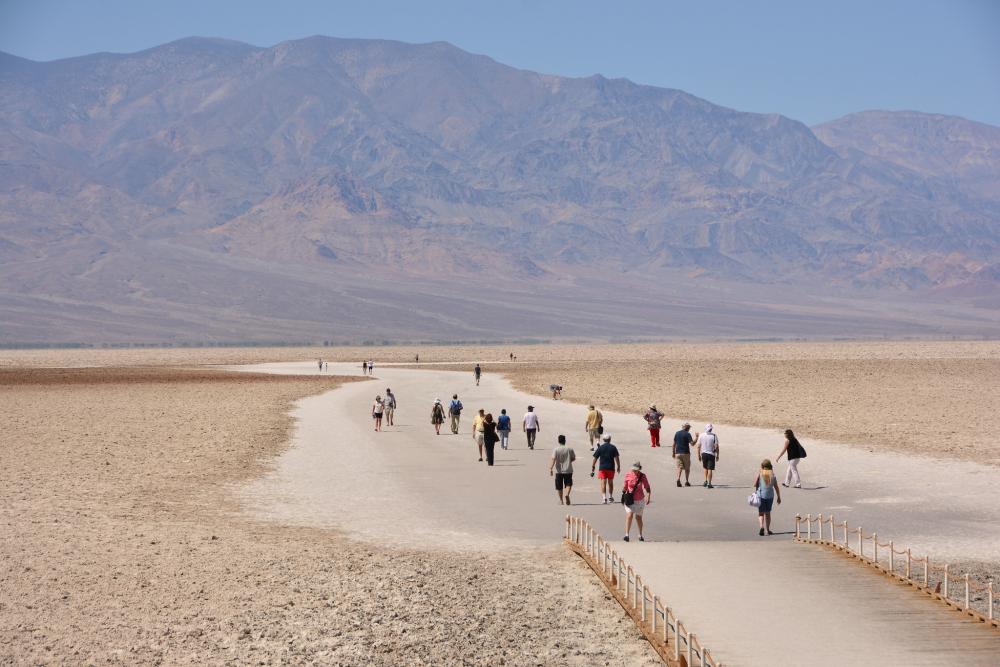 people walking through desert