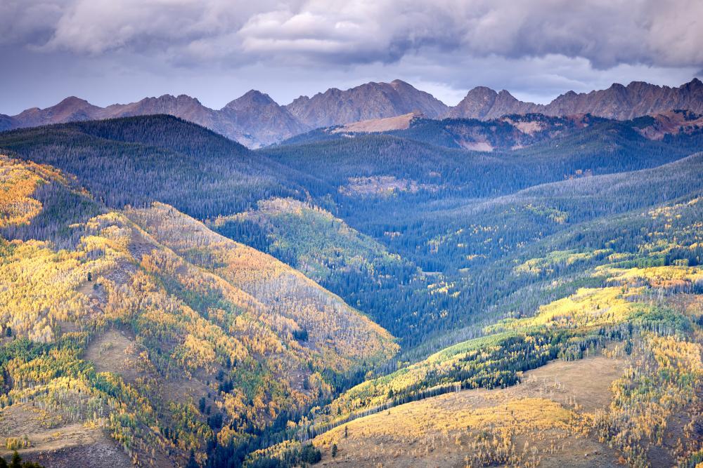 Tree-covered slopes in autumn in the White River National Forest, Colorado