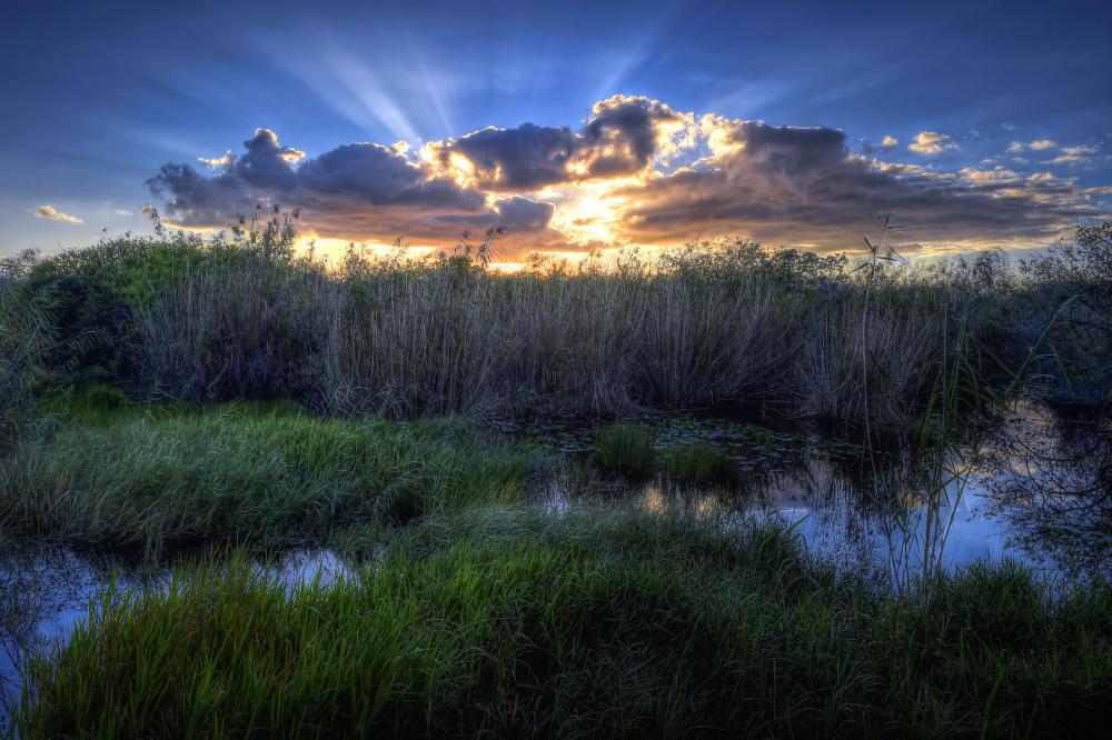 View of sunsetting over everglades, Flordia
