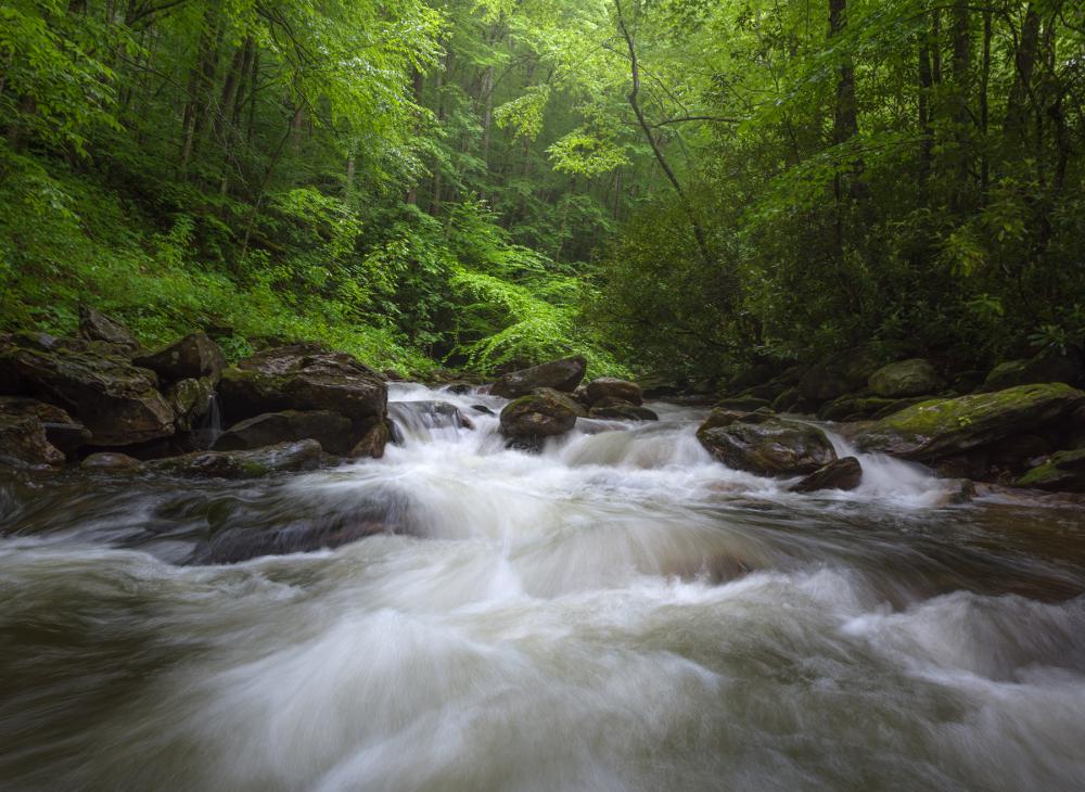 Streams in Pisgah National Forest, North Carolina