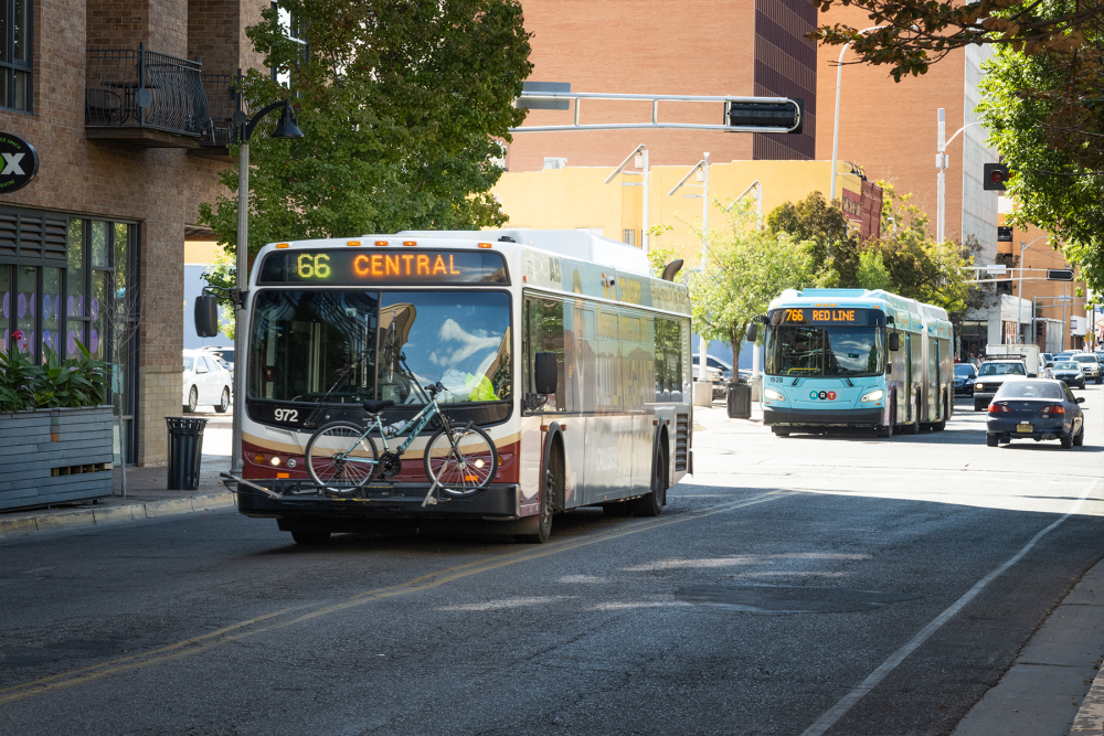 buses on the street