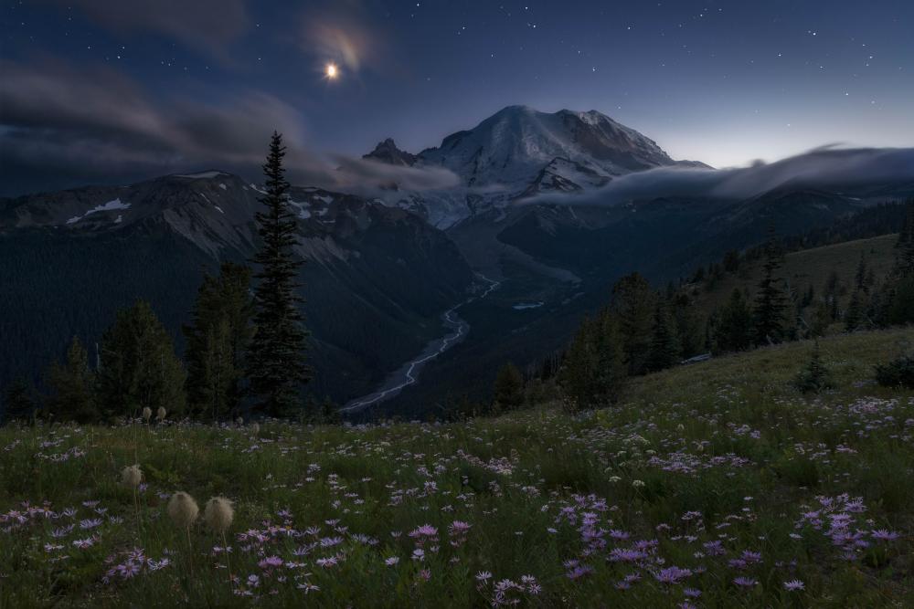 Twilight in Mount Rainier National Park, Washington