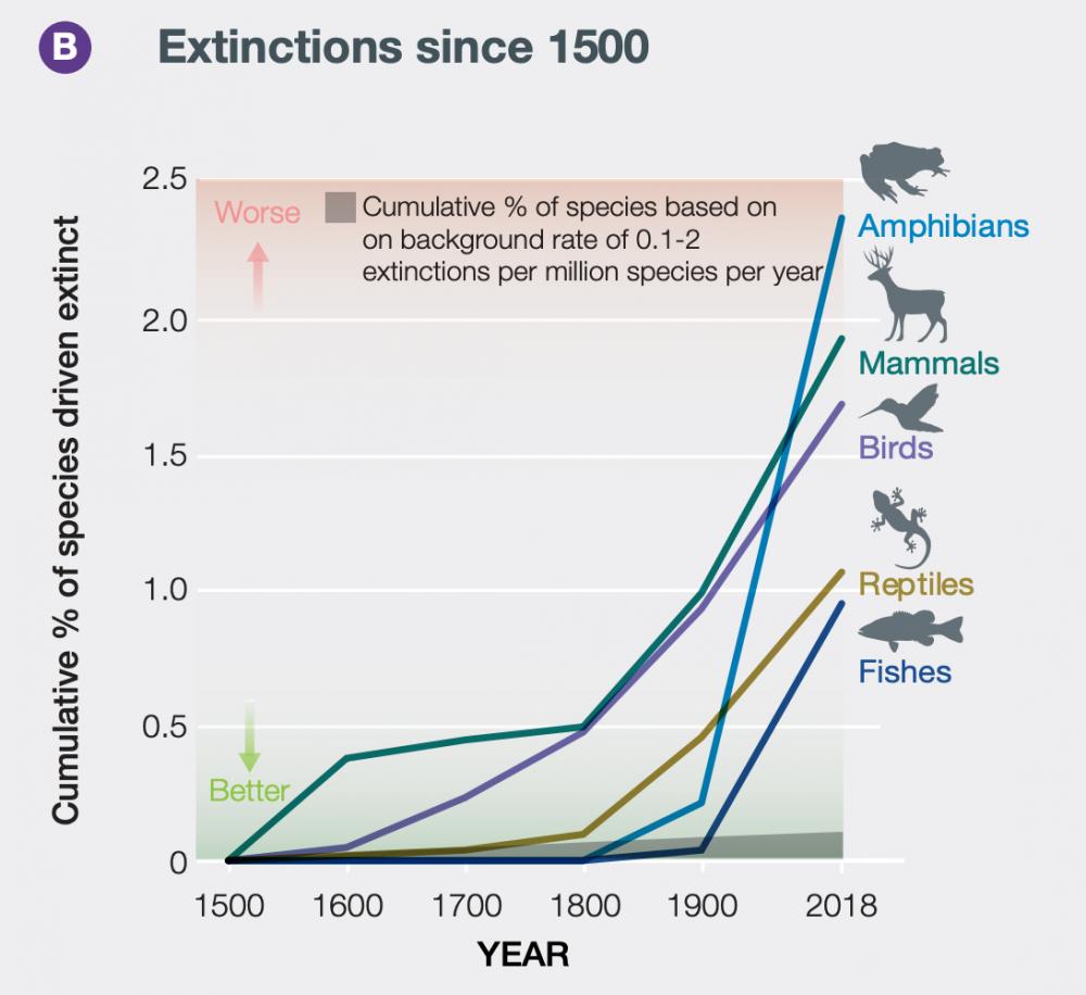 What is the extinction crisis? 5 key facts The Wilderness Society