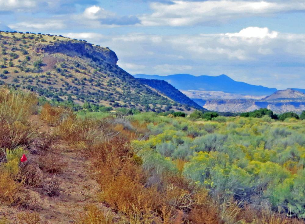 Vibrant colors after a monsoon rain at Buckman Road near Santa Fe