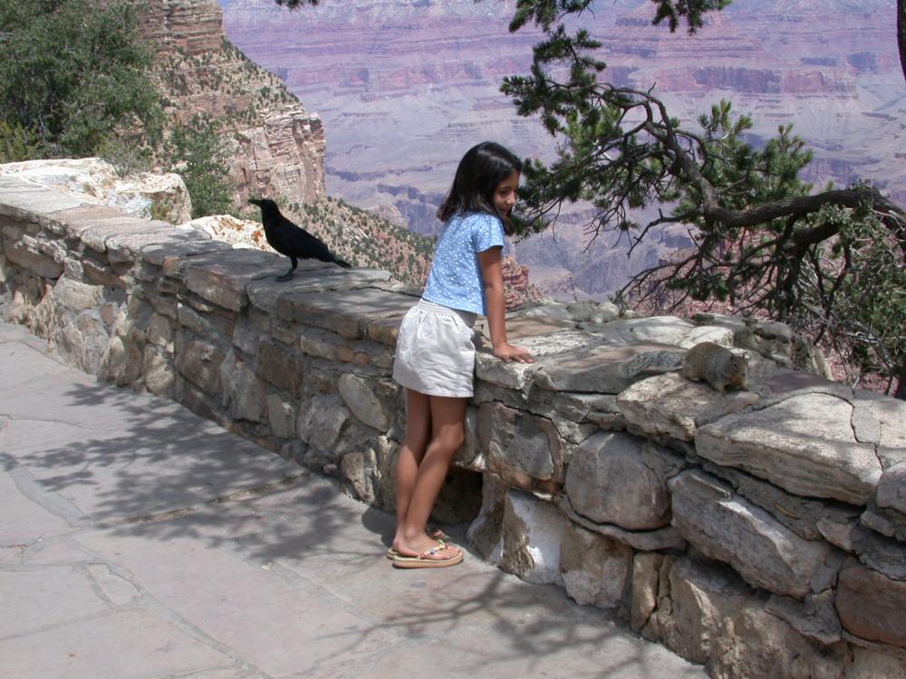 small child looking at a squirrel at grand canyon