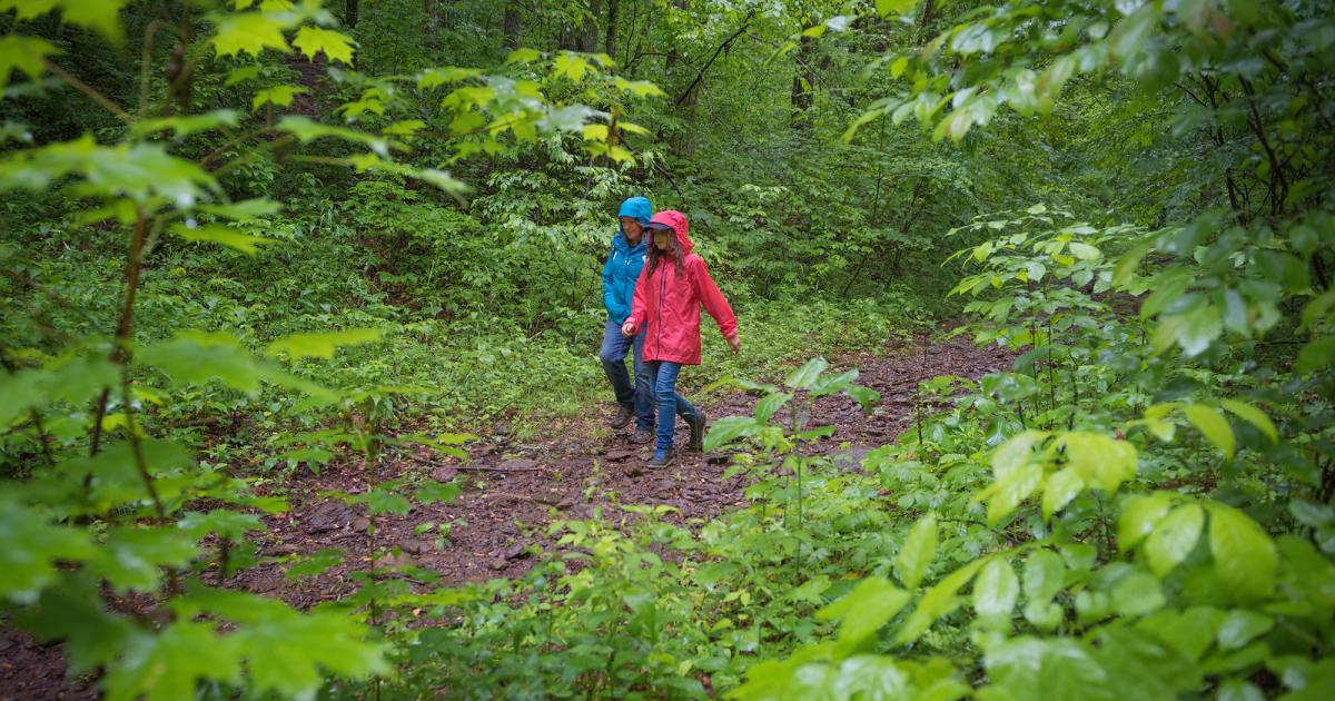 Tips for Nature Walking | The Wilderness Society