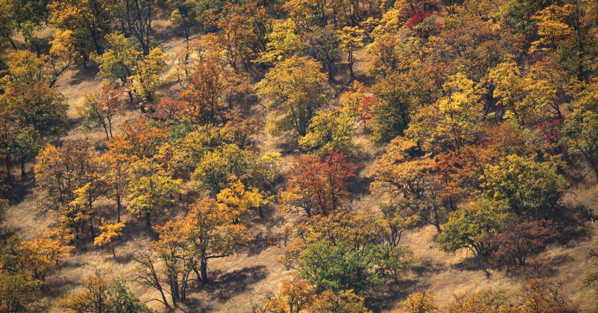 Obama's Expansion Of Cascade-Siskiyou National Monument Protects ...