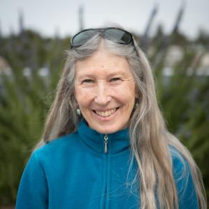 Anne Rockhold's headshot