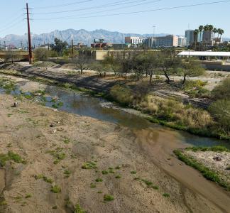 A site of the proposed Santa Cruz River National Wildlife Refuge in Tucson, AZ