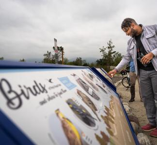 person with binoculars reading a sign about birding