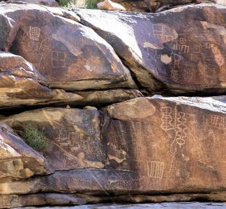 Petroglyphs on rocks in a sunlit setting 