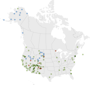 Map of North America with many multicolored markers on it