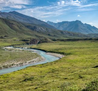 The Arctic National Wildlife Refuge