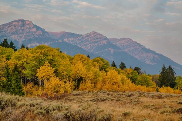 Centennial Mountains Wilderness Study Area, Montana