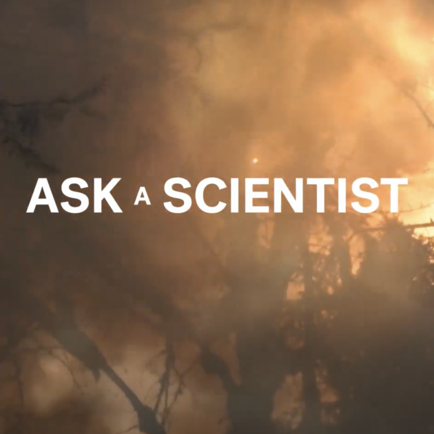 Ask a scientists videos